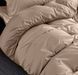 Bedding Set Gold calico Kensis, Queen, 50*70, Gold Calico