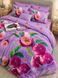 Bedding Set Polycotton Filientia, Single, 50*70, Polycotton